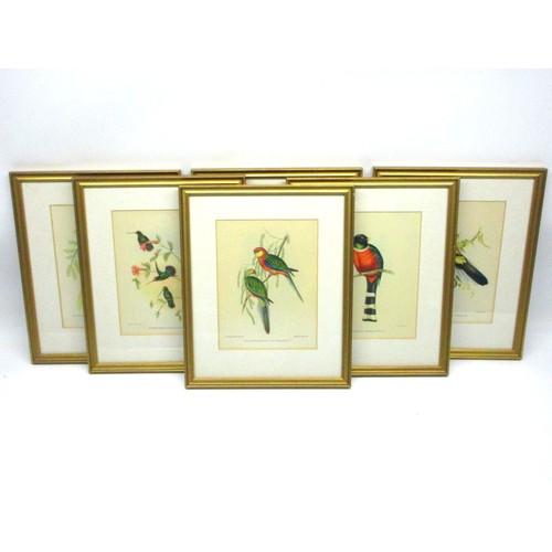 791 - Victorian ornithological lithographs sketched by John Gould (British, 1804-'81), from his Birds of A... 