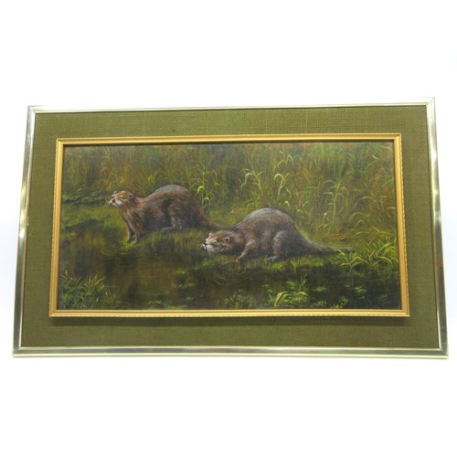 705 - Tiplady (British Contemporary) wildlife oil painting on board depicting a pair/romp of otters by the... 