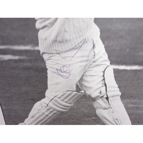 816 - Collection of mostly cricket related posters to incl. signed Ian Botham National Theatre 'Cricket Im... 