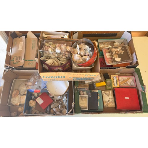Large collection of shells, ecological samples, etc. (5 boxes) Shipping ...