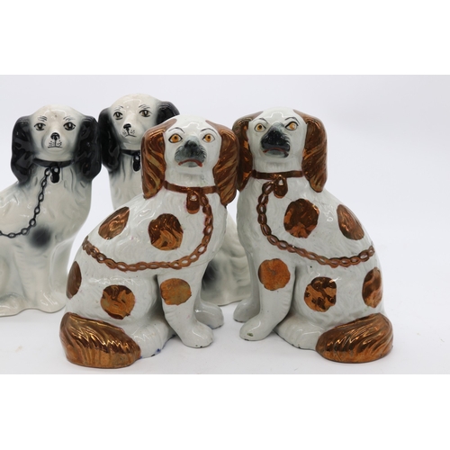 773 - Three pairs of Staffordshire dogs, max H21cm

Bradley's shipping £58.00 plus vat (UK Only)