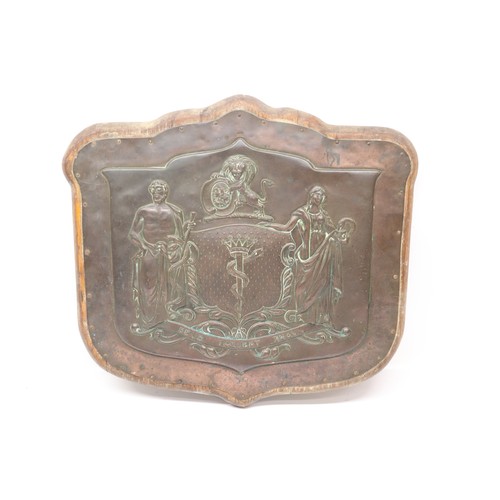 Wooden mounted pressed copper crested plaque, shield shaped with ...