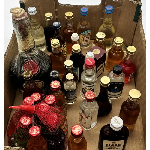 Collection of miniature spirits, incl. Haig blended scotch whisky, gold ...