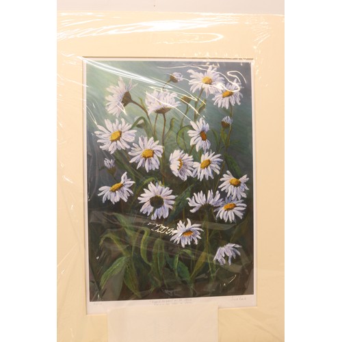 745 - Iris O. Roberts (Contemporary) botanical selection inc. hand-painted silk on board of pink Stargazer... 