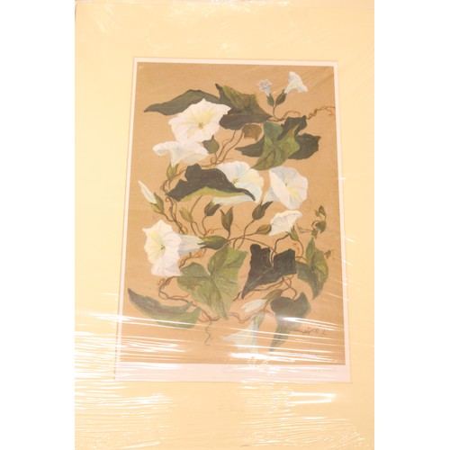 745 - Iris O. Roberts (Contemporary) botanical selection inc. hand-painted silk on board of pink Stargazer... 