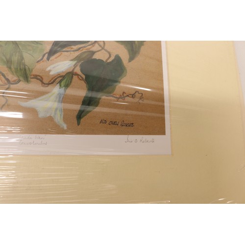 745 - Iris O. Roberts (Contemporary) botanical selection inc. hand-painted silk on board of pink Stargazer... 