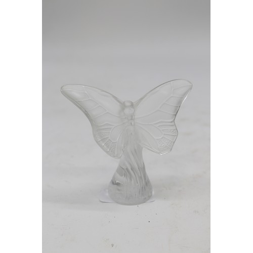 731 - Lalique Papillon Rose glass paperweight, H8.5cm
Bradley's Shipping £28.00 plus vat (UK Only)