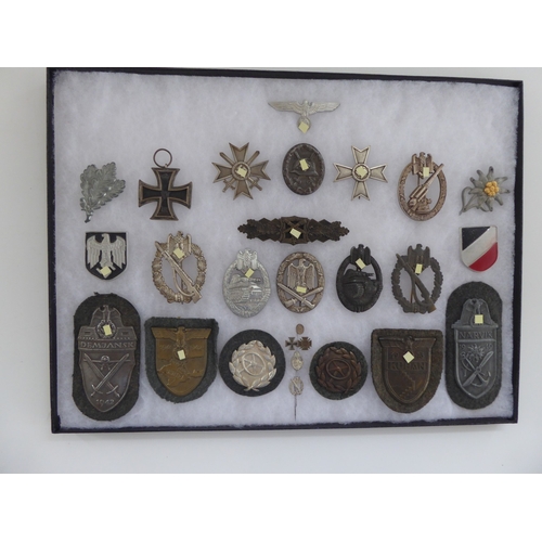 Lot 8         