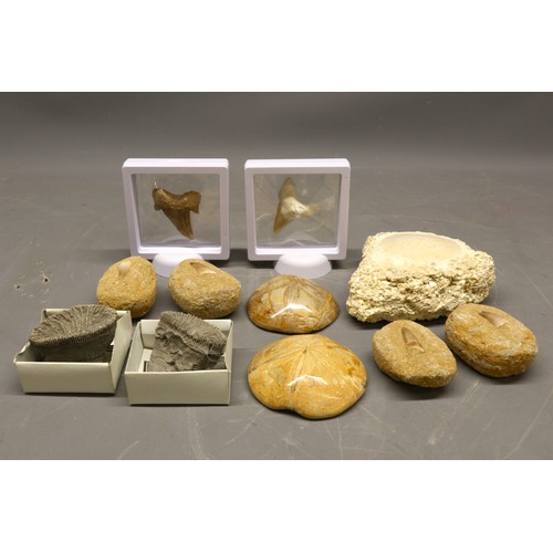 Lot 1063      