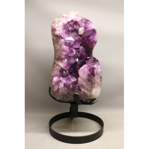 Lot 1037      