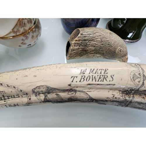 434 - 2 x large scrimshaw style engraved reproduction walrus tusk 

Large - 57cm long 
Small - 14cm