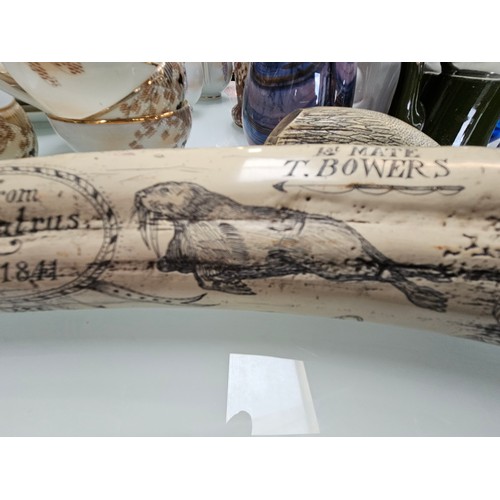 434 - 2 x large scrimshaw style engraved reproduction walrus tusk 

Large - 57cm long 
Small - 14cm