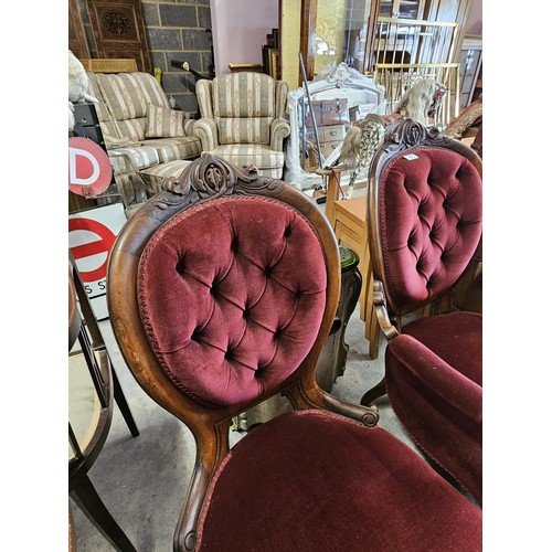 43 - Pair of red velvet mahogany arm chairs. His and Hers chairs. Button back