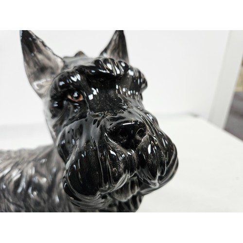 220 - Large Italian porcelain Scottie dog?
Stamped to base - Dipinto a Mano hand painted

27cm high x 30cm... 