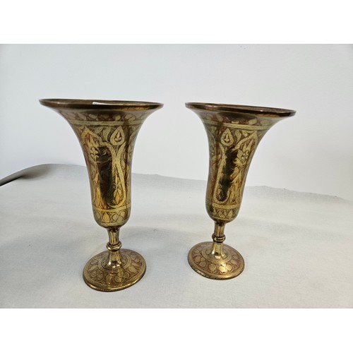 243 - Pair brass vases 

22cm high