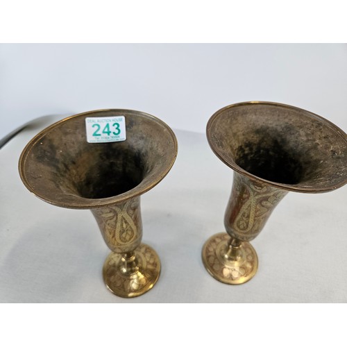 243 - Pair brass vases 

22cm high