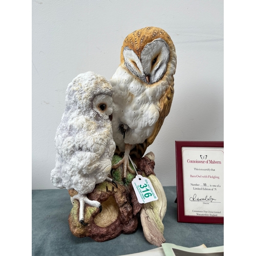 316 - Large Connoisseur of Malvern 

Barn Owl with Fledging 

Limited edition