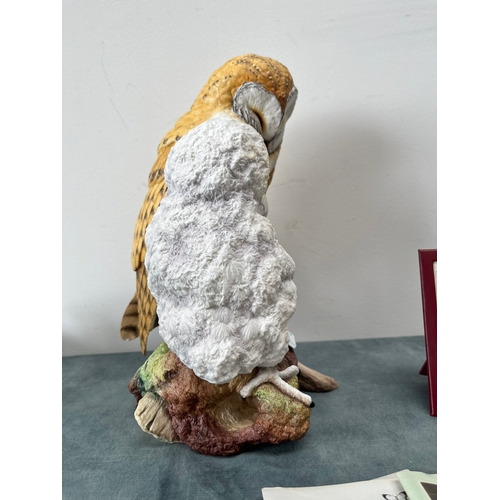 316 - Large Connoisseur of Malvern 

Barn Owl with Fledging 

Limited edition