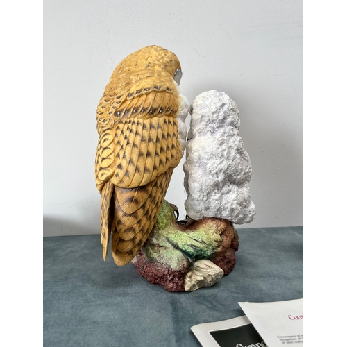 316 - Large Connoisseur of Malvern 

Barn Owl with Fledging 

Limited edition