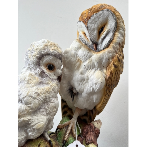 316 - Large Connoisseur of Malvern 

Barn Owl with Fledging 

Limited edition