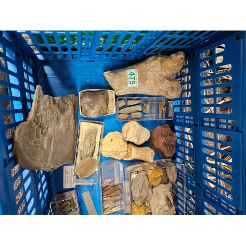 475 - Lot of mixed fossils and bones.