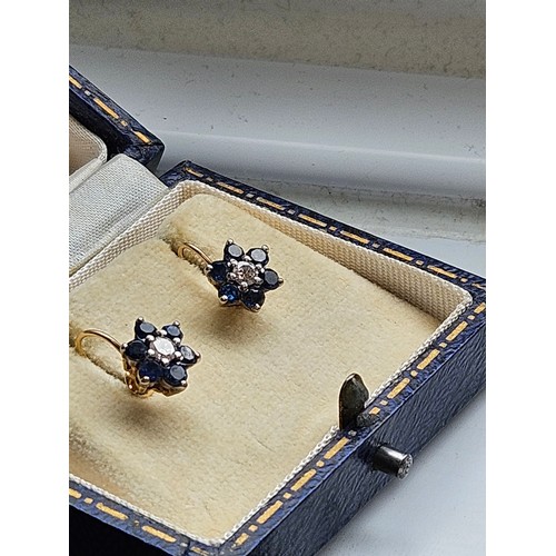 580H - 9ct yellow gold and sapphire earrings