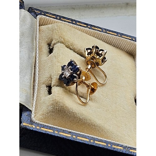 580H - 9ct yellow gold and sapphire earrings