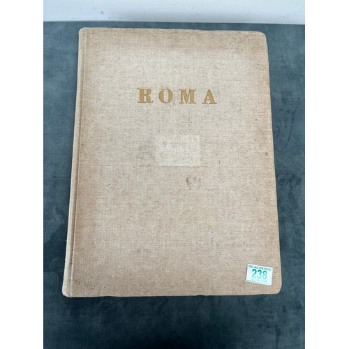 238 - Roma book with signed lithographs. 

Roma. Novanta vedute moderne
D.R. Peretti Griva

Published by O... 