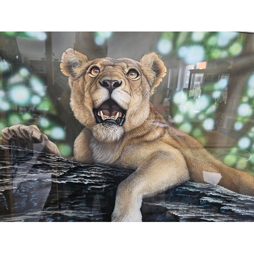 720 - Large painting of a lioness. Painting by Sarah C Millward.
The Gaze of the Lioness. 
Acrylic paintin... 