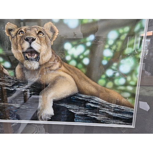 720 - Large painting of a lioness. Painting by Sarah C Millward.
The Gaze of the Lioness. 
Acrylic paintin... 