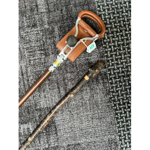 409 - Shooting stick and walking stick