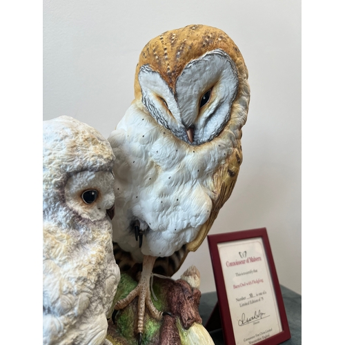 164 - Large Connoisseur of Malvern 

Barn Owl with Fledging 

Limited edition