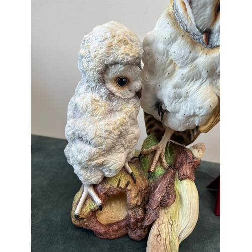 164 - Large Connoisseur of Malvern 

Barn Owl with Fledging 

Limited edition