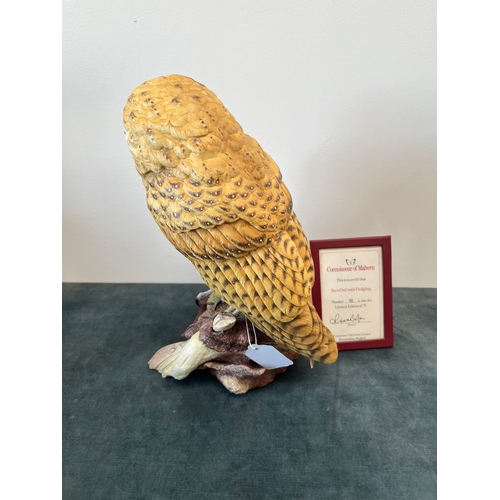 164 - Large Connoisseur of Malvern 

Barn Owl with Fledging 

Limited edition