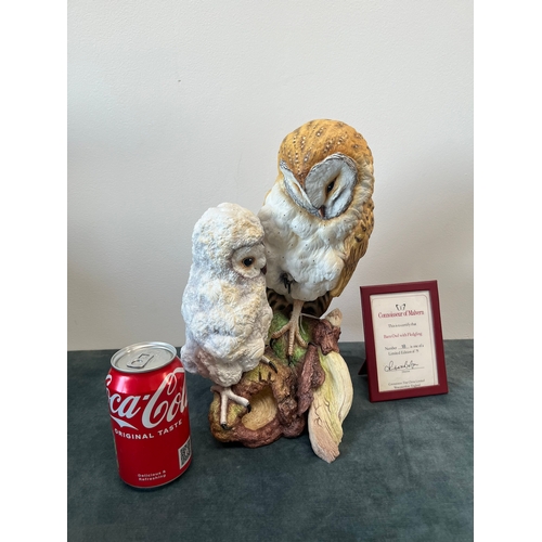 164 - Large Connoisseur of Malvern 

Barn Owl with Fledging 

Limited edition