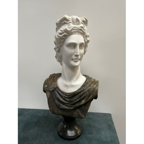 251 - Large Italian Carrera marble carved bust of a man