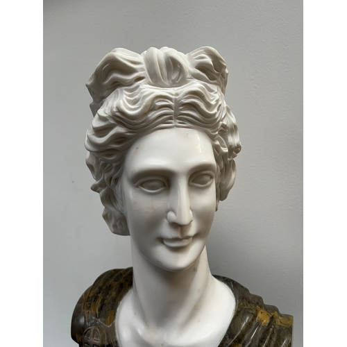 251 - Large Italian Carrera marble carved bust of a man