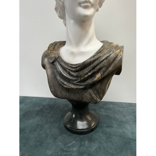 251 - Large Italian Carrera marble carved bust of a man