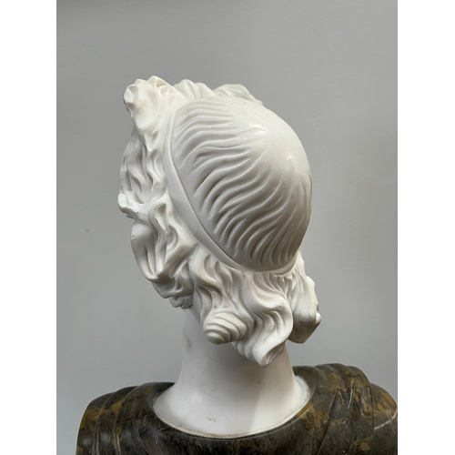 251 - Large Italian Carrera marble carved bust of a man