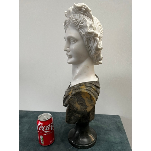 251 - Large Italian Carrera marble carved bust of a man