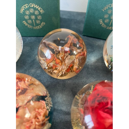 339 - 5 x Hafod Grange resin paperweights