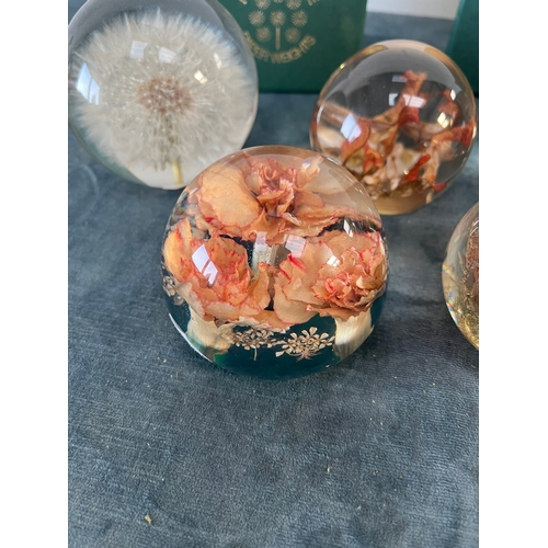 339 - 5 x Hafod Grange resin paperweights