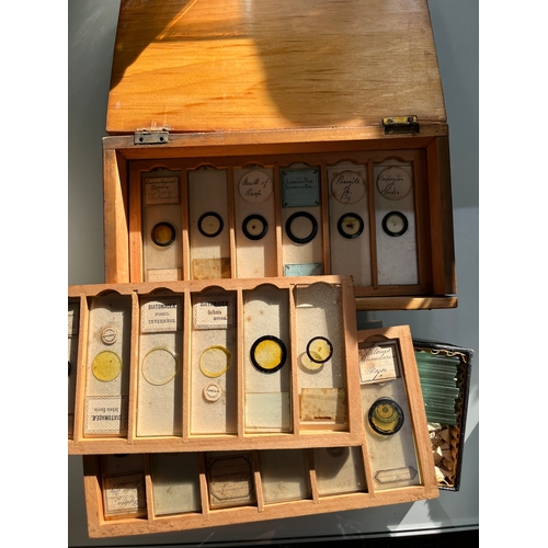 361 - Trays of vintage microscope slides