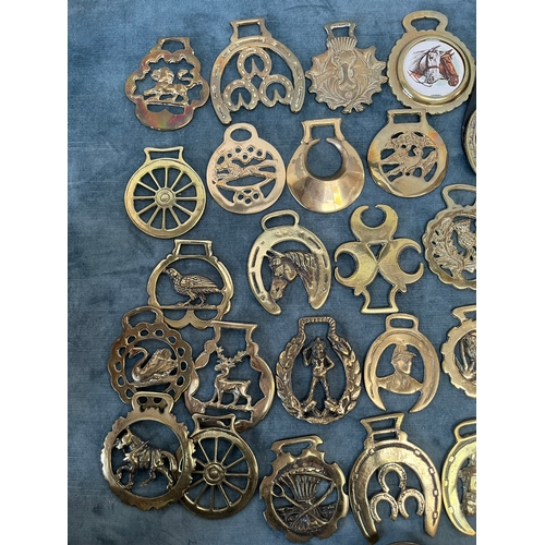 366 - Large assortment of various horse brasses