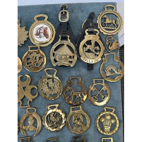 366 - Large assortment of various horse brasses