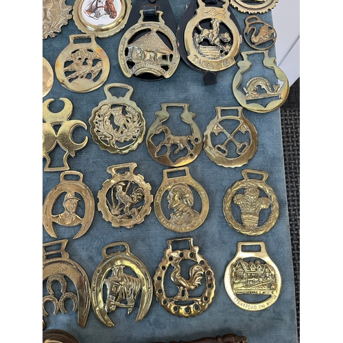 366 - Large assortment of various horse brasses