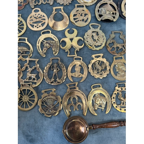 366 - Large assortment of various horse brasses