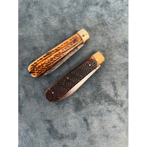 409 - Sheffield pocket knives with stag scales - Venture