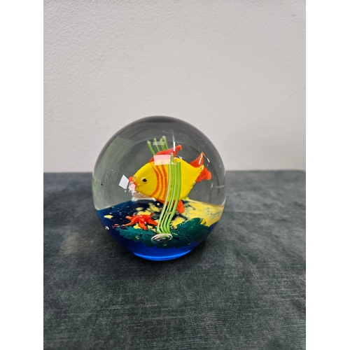 384 - Murano toso style fish paperweight