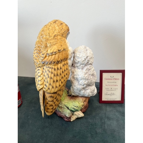 164 - Large Connoisseur of Malvern 

Barn Owl with Fledging 

Limited edition